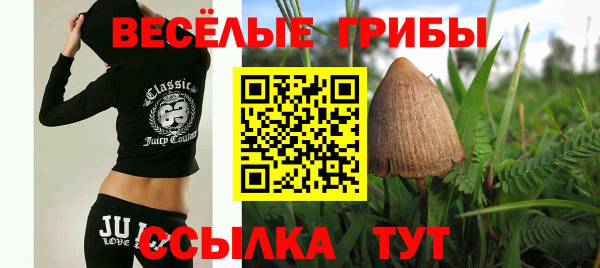 Галлюциногенные грибы GOLDEN TEACHER Горно-Алтайск