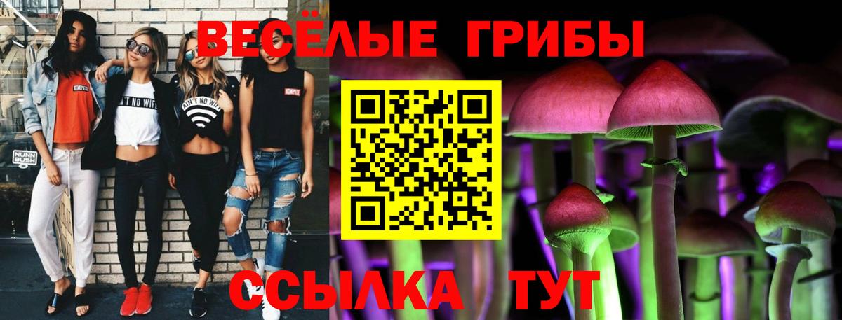Горно-Алтайск  Галлюциногенные грибы MAGIC MUSHROOMS  Вход с VPN 